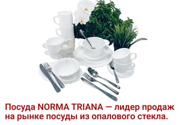 Посуда NORMA TRIANA — лидер продаж на рынке посуды из опалового стекла.