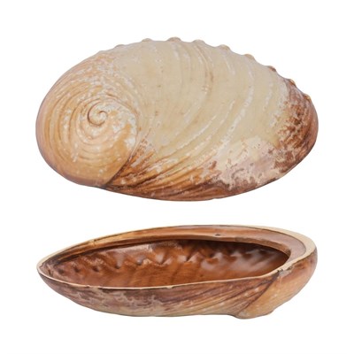 Тарелка 19*14,5 см, 365 мл, керамика "Frutti di Mare" P.L. 81241256 - фото 40259364