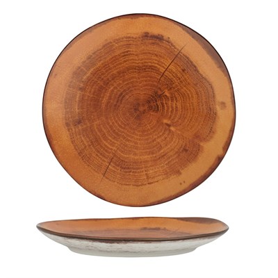 Тарелка d=21 см, фарфор P.L. cерия  WOOD-FUSION 81269868 - фото 40946774