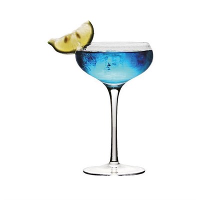 Бокал для коктейля "Bellini" Cocktail Week 195мл.P.L-Barware 81269942 - фото 40959566