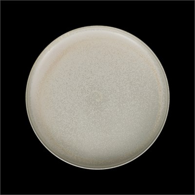 ТАРЕЛКА с высокими бортами 10,5'' 270мм, песочный "Corone Sabbia" фк5401 - фото 41845385