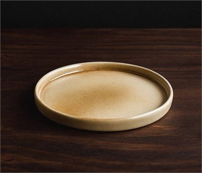 Тарелка борт прямой, диаметр 19,8см, высота 2см ДП710