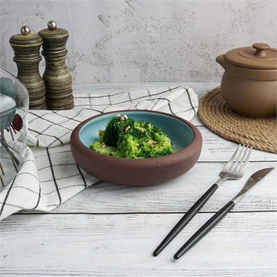 Блюдо/салатник, 400 мл, d=16.5cм, h=4.6cм, серия "Blue Matt Taiga"  P.L. 81229018