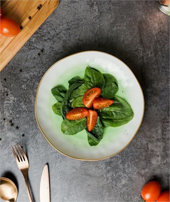 Салатник d=21,5*3,8 см,500мл, фарфор,зеленый цвет "The Sun" P.L. 81229828