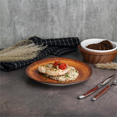 Тарелка d=23 см, фарфор P.L. cерия  WOOD-FUSION 81269869