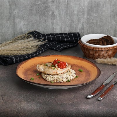 Тарелка d=27 см, фарфор P.L. cерия  WOOD-FUSION 81269870