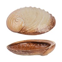 Тарелка 19*14,5 см, 365 мл, керамика "Frutti di Mare" P.L. 81241256