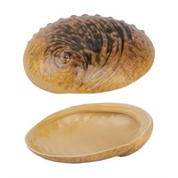 Тарелка 19*14,5 см, 360 мл, керамика "Frutti di Mare" P.L. 81241257