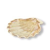 Блюдо 13*12 см, 50 мл. керамика "Frutti di Mare" P.L. 81221990