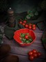 Салатник d 12,5 см h 4,2 см, Tomato CDF TM05