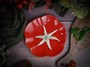 Тарелка d 21 см h 2,3 см, Tomato CDF TM02