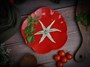 Тарелка d 21 см h 2,3 см, Tomato CDF TM02