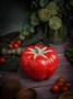 Емкость с крышкой 17,6 см, Tomato CDF TM01