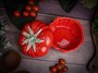 Емкость с крышкой 17,6 см, Tomato CDF TM01