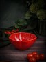 Салатник d 15,4 см h 7 см, Tomato CDF TM06