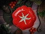 Тарелка глубокая d 26 см h 4,6 см, Tomato CDF TM04