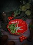 Тарелка глубокая d 26 см h 4,6 см, Tomato CDF TM04