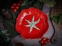 Тарелка глубокая d 26 см h 4,6 см, Tomato CDF TM04