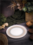 Тарелка мелкая с вертикальным бортом 24 см Venus PIOLI 18AP24 PL Venus
