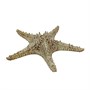 Блюдо 28 см, 100 мл, керамика "Frutti di Mare" P.L. 81221991 - фото 40235400