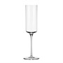 Бокал для игристого вина,230 мл,серия "1873"  P.L.- BARWARE 81280122 - фото 40839200
