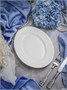 Блюдо овальное 25,5x18,8 см h 2,4 см, фарфор, Primavera CDF PR10 - фото 41407812