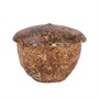 Чашка,керамика "d=9.5 см, h=8.5 см, 260 мл, Frutti di Mare" P.L. 81241262 - фото 41631008