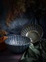 Салатник 800 мл, d 16,6 см h 6,7 см, ASTERA OCEAN 4251017 - фото 4444588 Салатник 800 мл, d 16,6 см h 6,7 см, ASTERA OCEAN 4251017 - фото 4444588